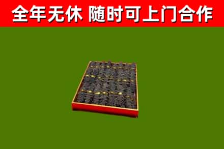 桓台回收海参